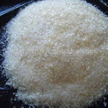 Estradiol Benzoate 